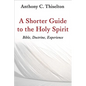 A Shorter Guide to the Holy Spirit: Bible, Doctrine, Experience - Paperback