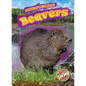 Beavers - Library Binding