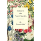 Colour in the Flower Garden - Paperback