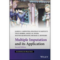 Multiple Imputation and Its Application - Hardcover