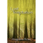 Lost Temptation - Paperback