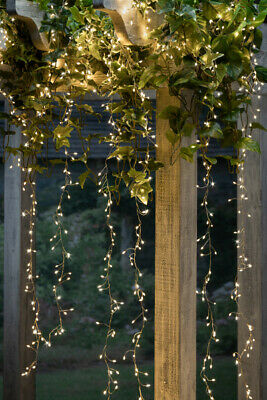 600 Warm White micro-LED lights