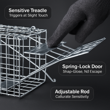 Live Animal Trap – Collapsible Cage for Small Animals