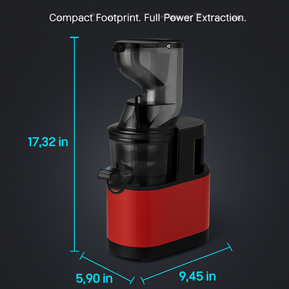 Cold Press Juicer Machine for Home Use with 2 Containers