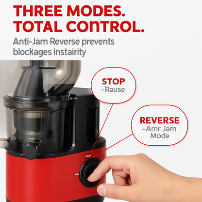 Cold Press Juicer Machine for Home Use with 2 Containers