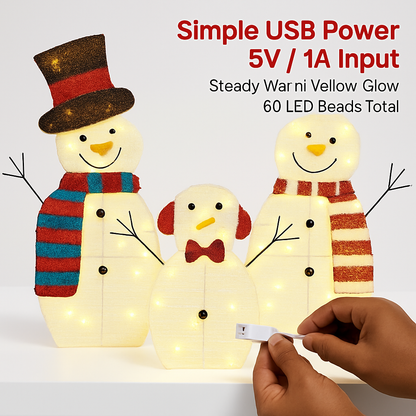 2D Christmas Snowman Yard Decoration with LED Lights