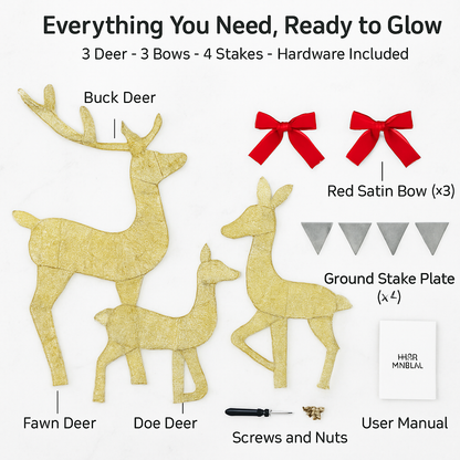 2D Lighted Christmas Deer Family Set (Indoor/Outdoor)