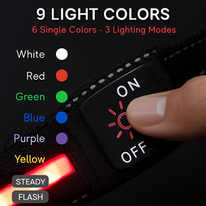 Light Up Dog Collar with LED Night Safety Colors