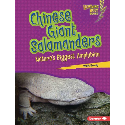 Chinese Giant Salamanders: Nature's Biggest Amphibian - Library Binding