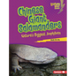 Chinese Giant Salamanders: Nature's Biggest Amphibian - Library Binding