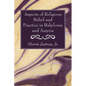 Aspects of Religious Belief and Practice in Babylonia and Assyria - Paperback