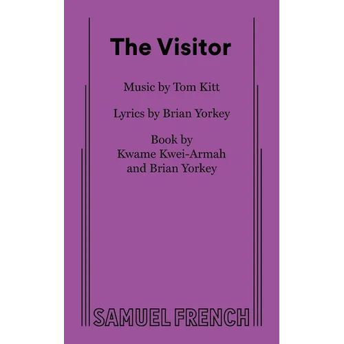 The Visitor - Paperback