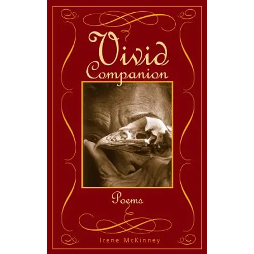 Vivid Companion - Paperback