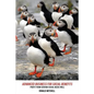 Advanced Business for Social Benefits: Profit from Serving Social Needs Well - Paperback