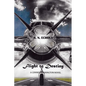 Flight to Destiny: A Conner Pennington Novel - Paperback