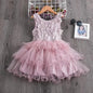 Girls' Ruffle Mesh Embroidered Dress