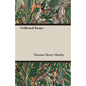 Collected Essays - Paperback