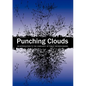 Punching Clouds: An Introduction to the Complexity of Public Decision-Making - Paperback