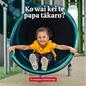 Ko Wai Kei Te Papa Takaro? - Board Book