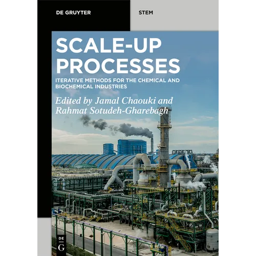 Scale-Up Processes: Iterative Methods for the Chemical, Mineral and Biological Industries - Paperback