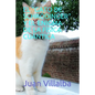 El "Gato de Schrödinger" Y El Enigma de la Física Cuántica - Paperback