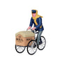 Mail Delivery Cycle