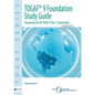 TOGAF(R) 9 Foundation Study Guide - 3rd Edition - Paperback