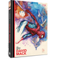 The Marvel Art of David Mack - Hardcover