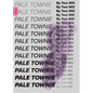 Pale Townie - Paperback