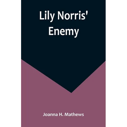 Lily Norris' Enemy - Paperback