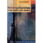 Thriving Churches in the Twenty-First Century: 10 Life-Giving Systems for Vibrant Ministry - Paperback