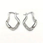 Golden Plated Zircon Jewelry Earrings