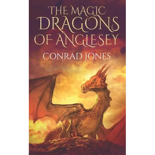 The Magic Dragons of Anglesey: The Rock Goblins - Paperback