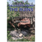 Salvaged from the Ruins: A Novel of 1945 - Paperback