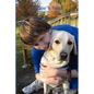 Nickie's Nook: Sharing the Journey - Paperback