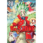 Dr. Stone, Vol. 20 - Paperback