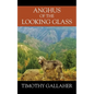Anghus of the Looking Glass - Paperback
