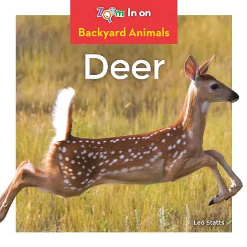 Deer - Library Binding