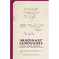 Imaginary Languages: Myths, Utopias, Fantasies, Illusions, and Linguistic Fictions - Hardcover