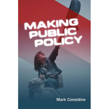Making Public Policy: Institutions, Actors, Strategies - Paperback