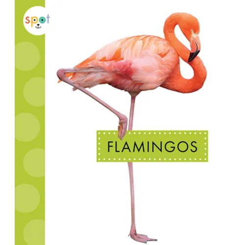 Flamingos - Library Binding