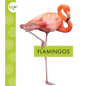Flamingos - Library Binding
