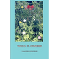 Wild Flowers - Paperback