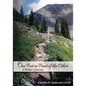 One Foot in Front of the Other: A Widow's Journey - Paperback