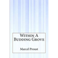 Within A Budding Grove - Paperback