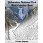 Yellowstone National Park Adult Coloring Book - Paperback