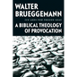 Ice Axes for Frozen Seas: A Biblical Theology of Provocation - Hardcover