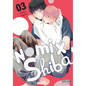 Nomi X Shiba, Vol. 3: Volume 3 - Paperback