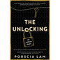 The Unlocking: An Autism Story - Paperback