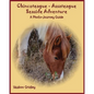 Chincoteague-Assateague Seaside Adventure: A Photo-Journey Guide - Paperback
